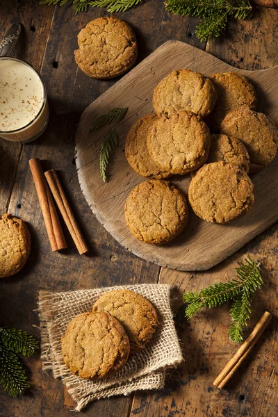 Σπιτικό καφέ Gingersnap μπισκότα — Φωτογραφία Αρχείου