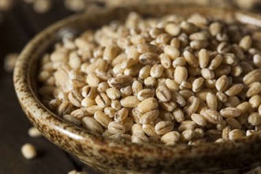 Ham organik arpa tahıl