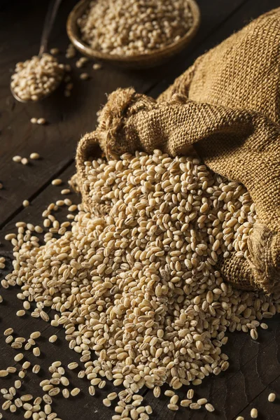 生有機麦粒 — ストック写真