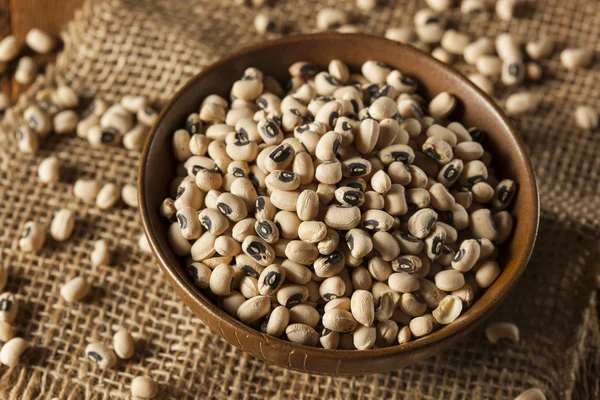 Organic Dry Black Eyed Peas — Stock Photo, Image