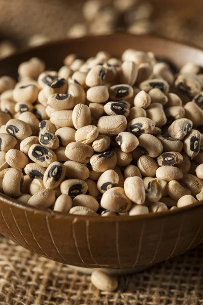 Organic Dry Black Eyed Peas — Stock Photo, Image