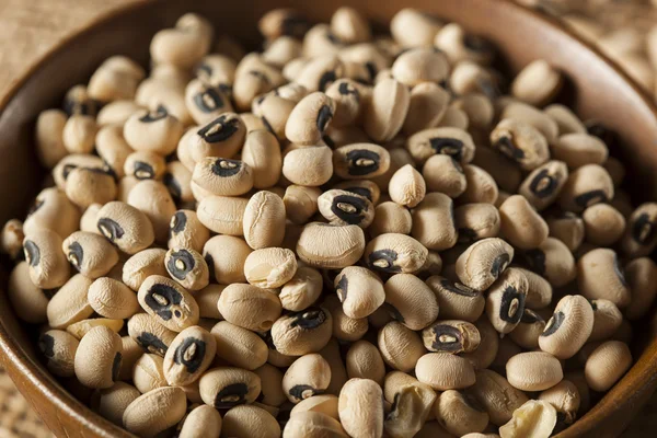 Organic Dry Black Eyed Peas — Stock Photo, Image