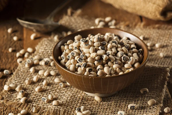 Organic Dry Black Eyed Peas — Stock Photo, Image