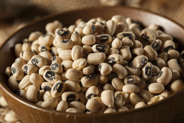 Organic Dry Black Eyed Peas — Stock Photo, Image