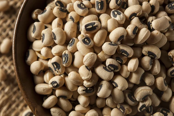 Organic Dry Black Eyed Peas — Stock Photo, Image