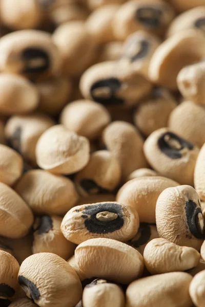 Organic Dry Black Eyed Peas — Stock Photo, Image