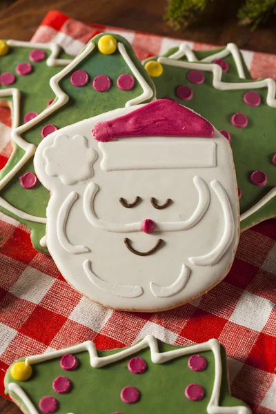 Festive Homemade Christmas Cookies — Stock Photo, Image