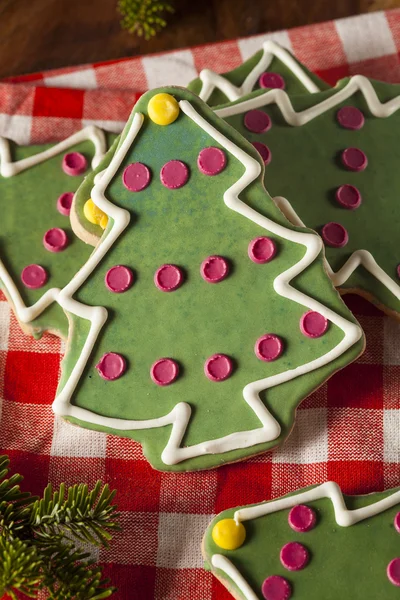 Festive biscotti di Natale fatti in casa — Foto Stock