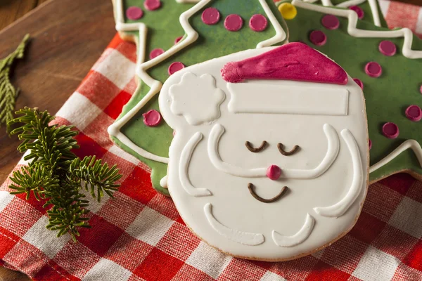 Festive biscotti di Natale fatti in casa — Foto Stock