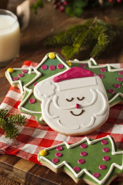 Festive Homemade Christmas Cookies — Stock Photo, Image