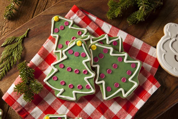Святкове домашнє різдвяне печиво — стокове фото