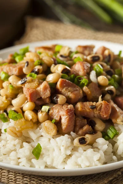 Homemade Southern Hoppin John — Stock Photo, Image