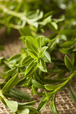 Ham organik yeşil kokulu