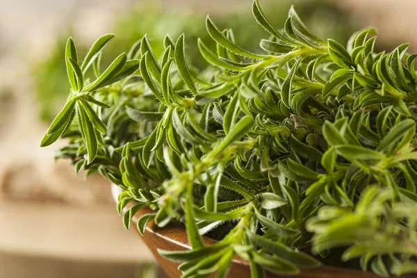 Rauwe biologische groene bonenkruid — Stockfoto