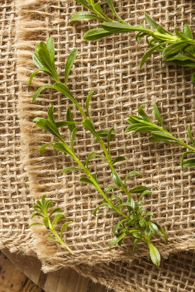 Verde orgânico cru Savory — Fotografia de Stock