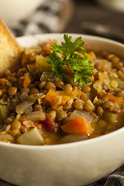 Sopa de lentilha marrom caseira — Fotografia de Stock