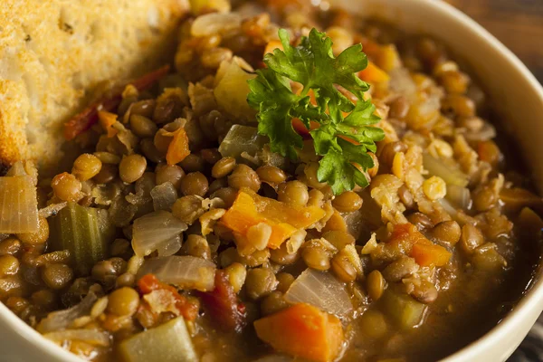 Домашний суп из чечевицы — стоковое фото
