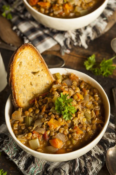 Sup Lentil Brown buatan sendiri — Stok Foto