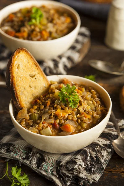 Homemade Brown Lentil Soup — Stock Image Homemade Brown Lentil Soup Stock Photo