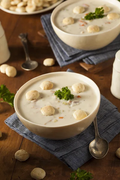 stock image Homemade New England Clam Chowder