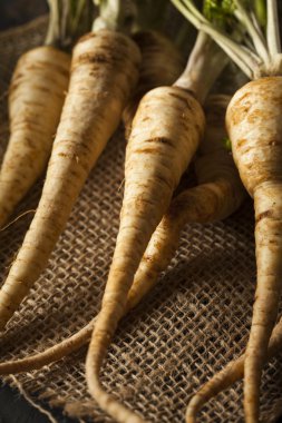 Ham organik maydanoz kökü