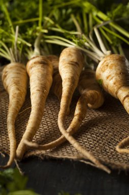 Ham organik maydanoz kökü