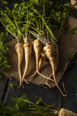 Ham organik maydanoz kökü