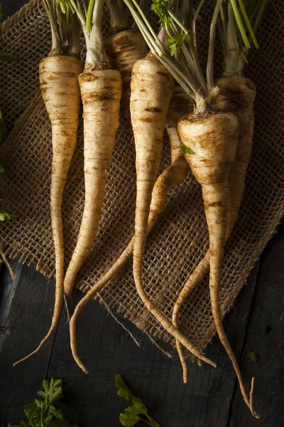 Raw Organic Parsley Root — Stock Photo, Image