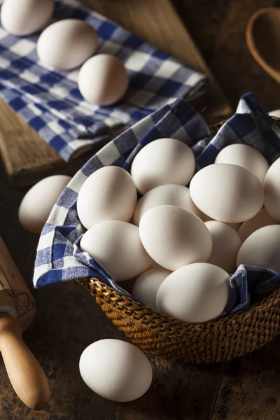 Rohe weiße Bio-Eier — Stockfoto