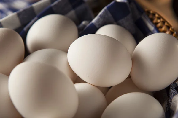 Rohe weiße Bio-Eier — Stockfoto