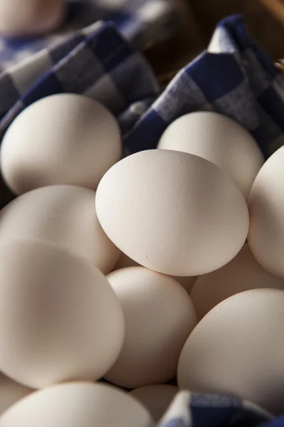 Raw Organic White Eggs — Stock Photo, Image