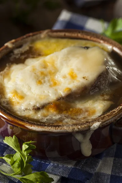 Homemade French Onion Soup — Stock Image Homemade French Onion Soup Stock Photo