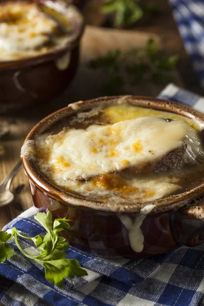 Homemade French Onion Soup — Stock Image Homemade French Onion Soup Stock Image