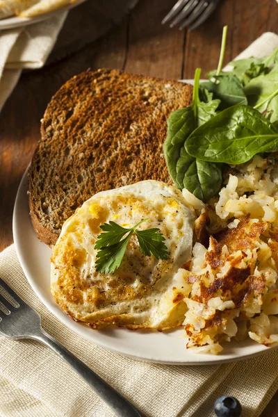 Huevos fritos hechos en casa ecológicos — Foto de Stock