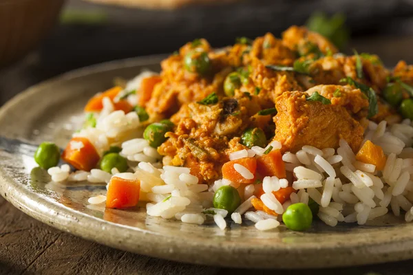 Pollo casero Tikka Masala — Foto de Stock