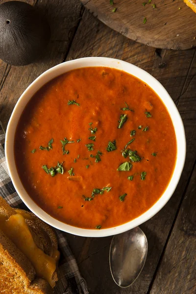 Soupe de tomates maison au fromage grillé — Photo