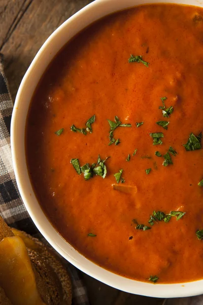 Hemlagad tomatsoppa med grillad ost — Stockfoto