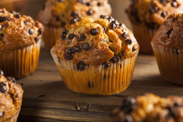 Muffins aux pépites de chocolat maison — Photo