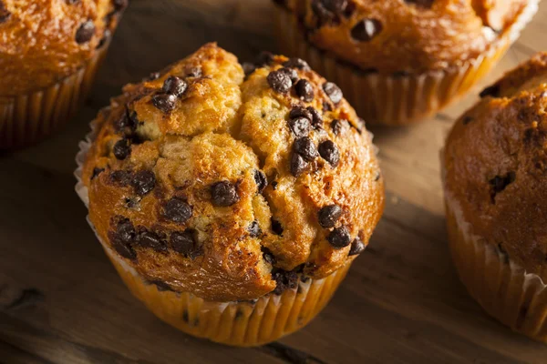 Homemade Chocolate Chip Muffins — Stock Photo, Image