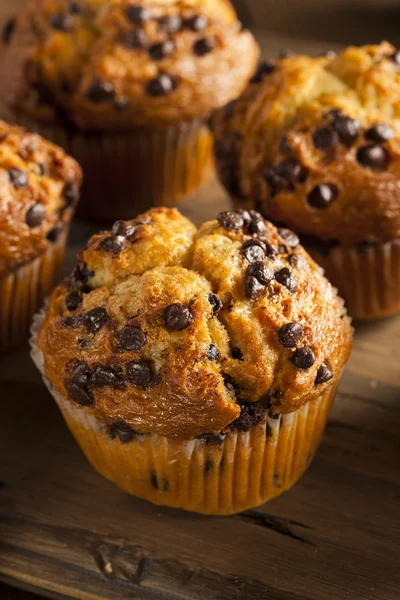 Muffin al cioccolato fatti in casa — Foto Stock