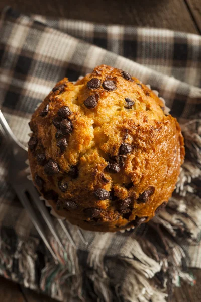 Muffins aux pépites de chocolat maison — Photo