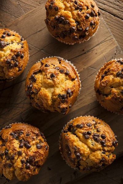 Huisgemaakte chocolade chip muffins — Stockfoto