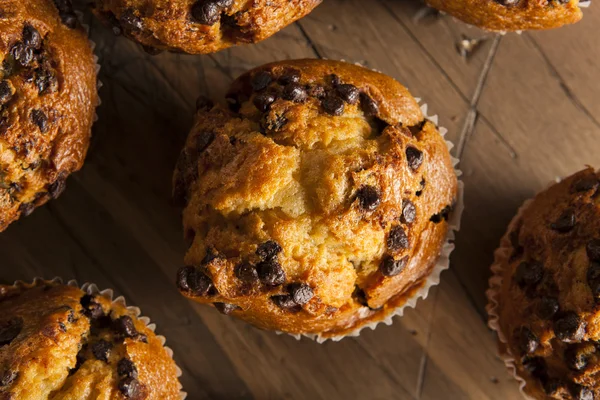 Muffins caseiros de chocolate — Fotografia de Stock