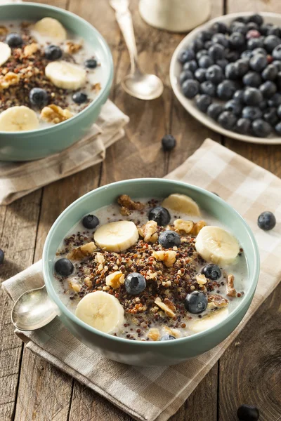 Biologisch ontbijt Quinoa met noten — Stockfoto