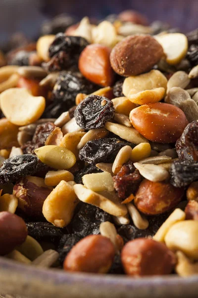 Ruwe organische zelfgemaakte Trail Mix — Stockfoto