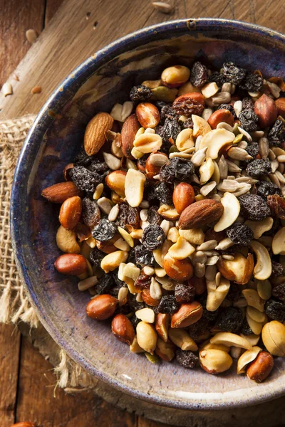 Raw Organic Homemade Trail Mix — Stock Photo, Image