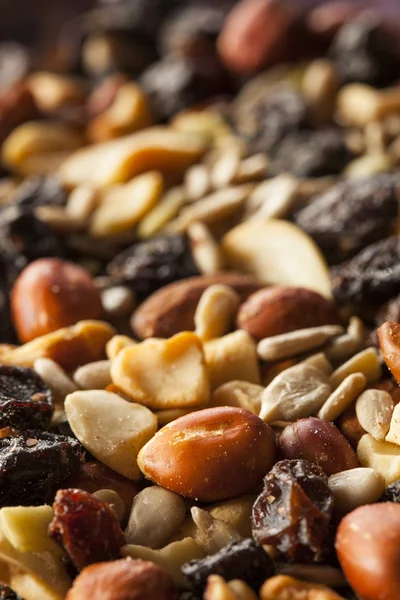 Raw Organic Homemade Trail Mix — Stock Photo, Image