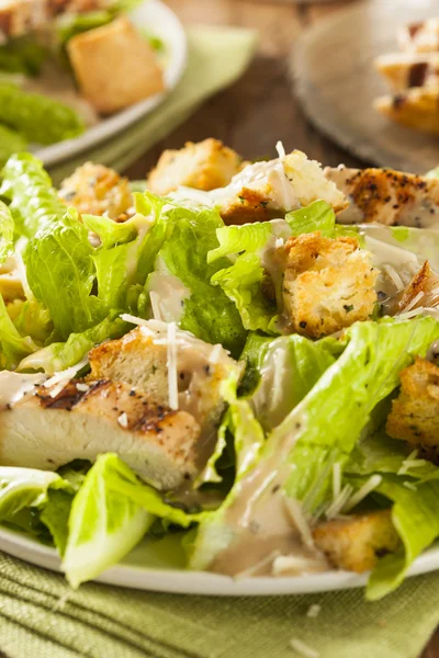 Healthy Grilled Chicken Caesar Salad — Stock Photo, Image