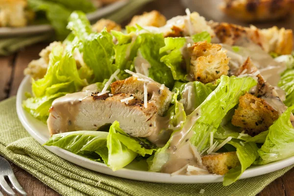 Healthy Grilled Chicken Caesar Salad — Stock Photo, Image