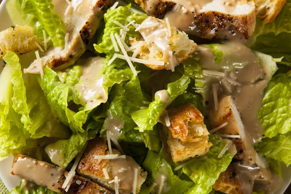 Healthy Grilled Chicken Caesar Salad — Stock Photo, Image